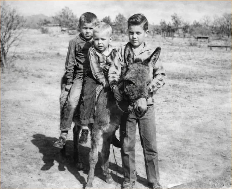 Black-and-white photograph after professional restoration, detail and colour brought back