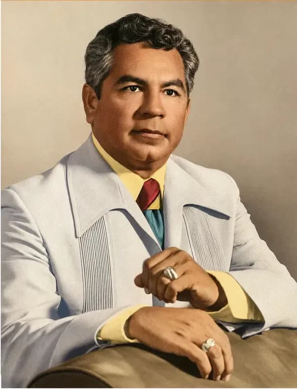Discoloured photograph after professional restoration, detail and colour brought back