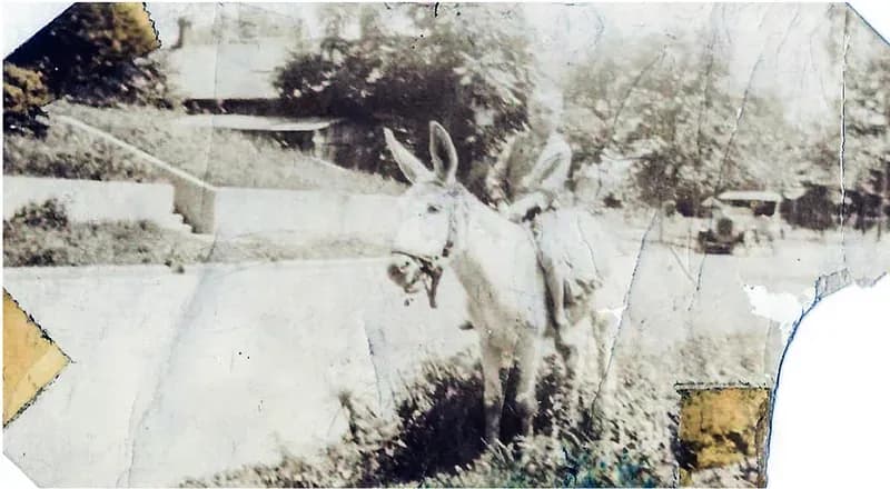 Water-damaged photograph sent to MemoryCherish for expert photo restoration