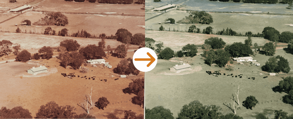 Lydia's Photo Restoration Story