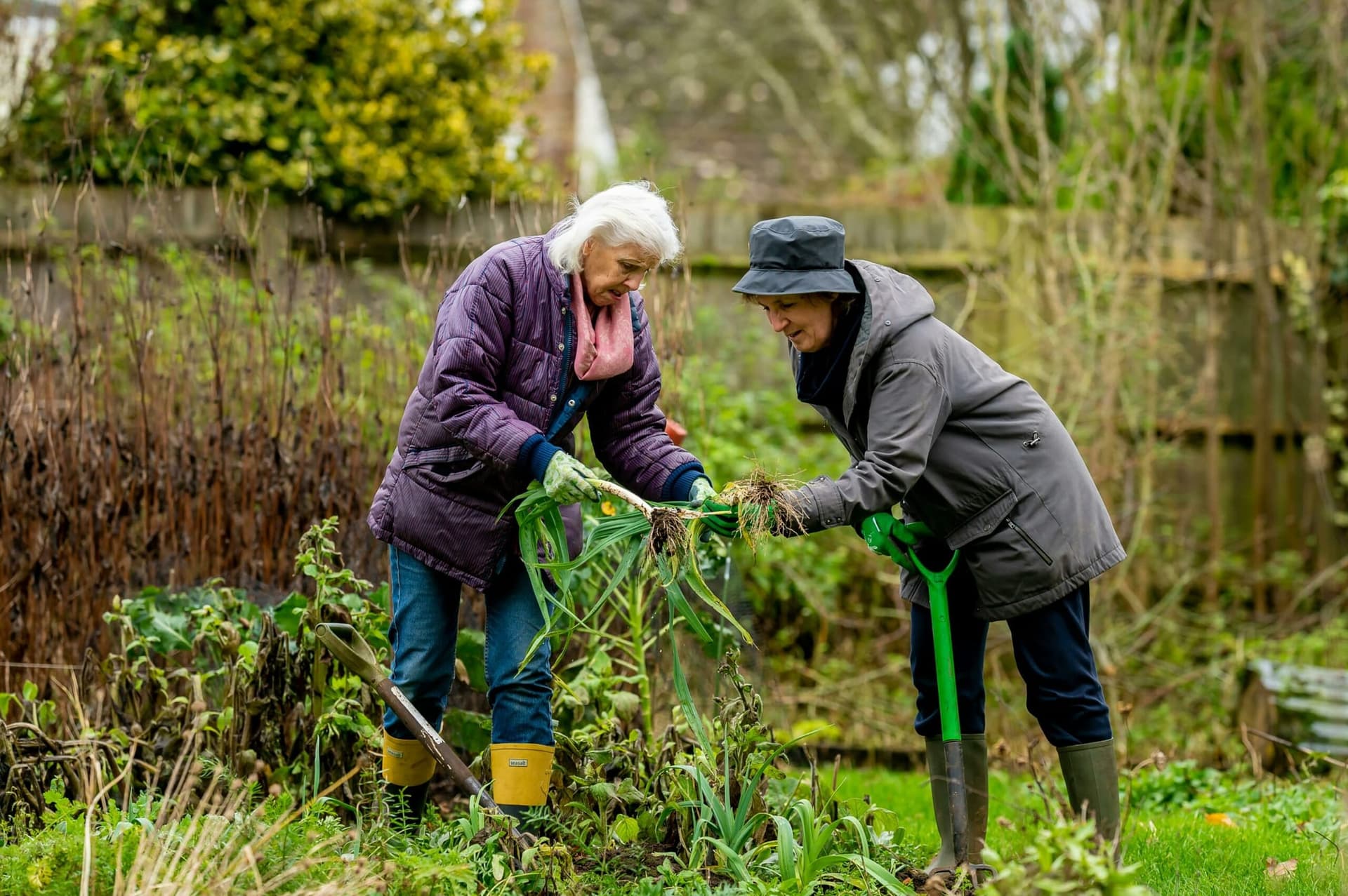 7 Essential Tips to Make Gardening Easier for Seniors