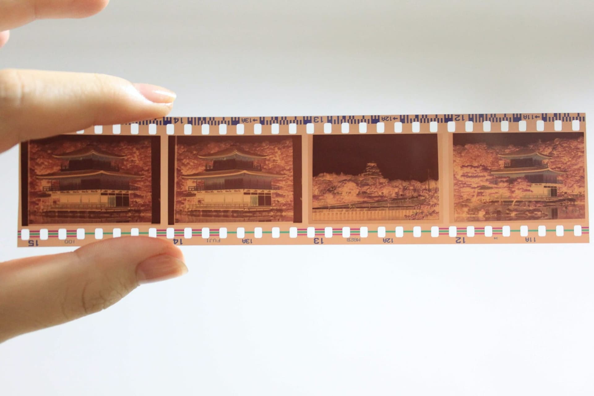 The Benefits of Using a Slide Scanner