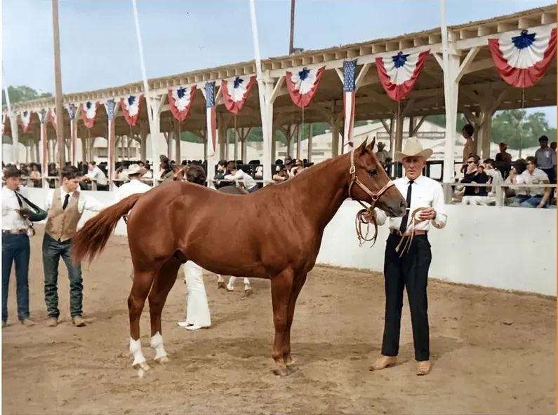 The same 1950s-1970s photograph after hand colorization by MemoryCherish, natural color added
