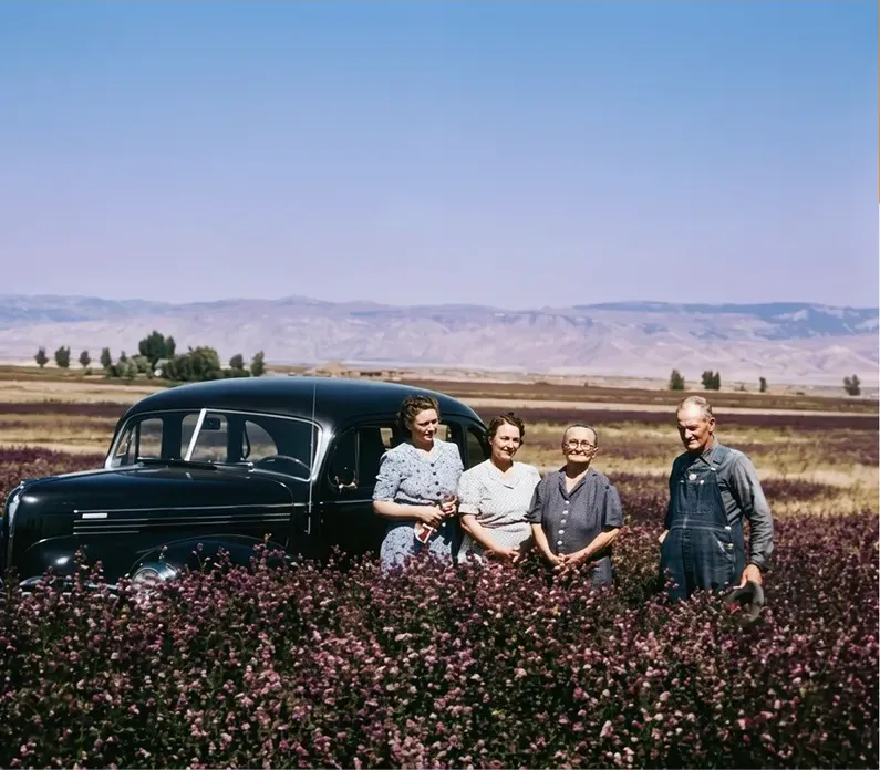 The same 1950s-1970s photo restored by hand at MemoryCherish, scratches corrected and clarity brought back