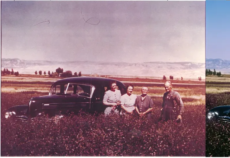 Original 1950s-1970s photograph showing scratches, before photo restoration by MemoryCherish