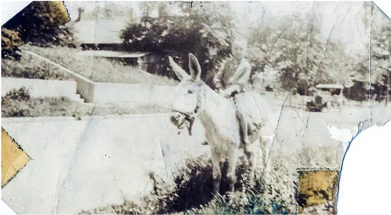 Black-and-white photograph before hand colorization by MemoryCherish artists