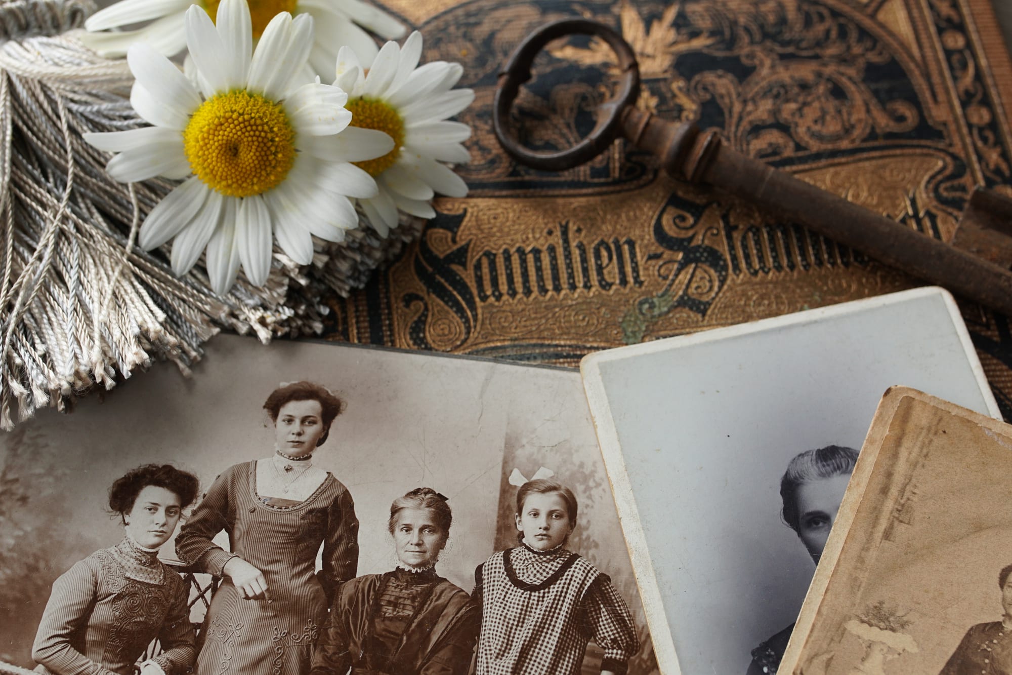 Free Close Up of Vintage Photographs Stock Photo